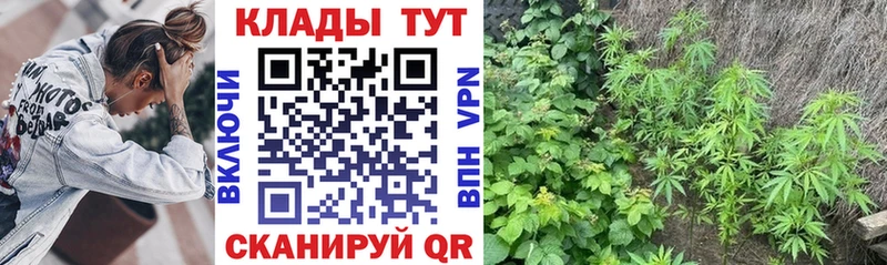 Купить закладку СК  Псилоцибиновые грибы  МЕФ  ГАШИШ  Конопля  АМФЕТАМИН  Яранск