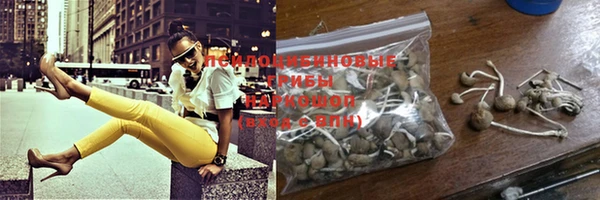 spice Богданович